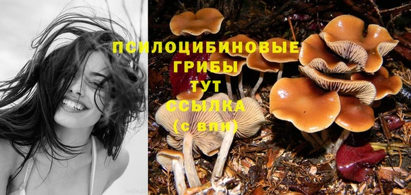 эйфоретик Магас
