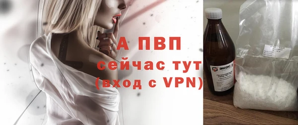 эйфоретик Магас