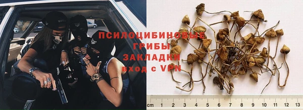 эйфоретик Магас
