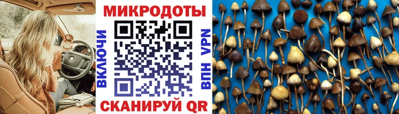 Галлюциногенные грибы Cubensis Дюртюли