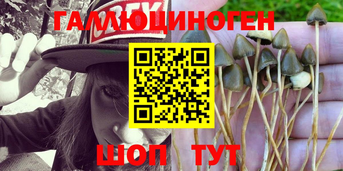 Псилоцибиновые грибы Psilocybine cubensis Дюртюли