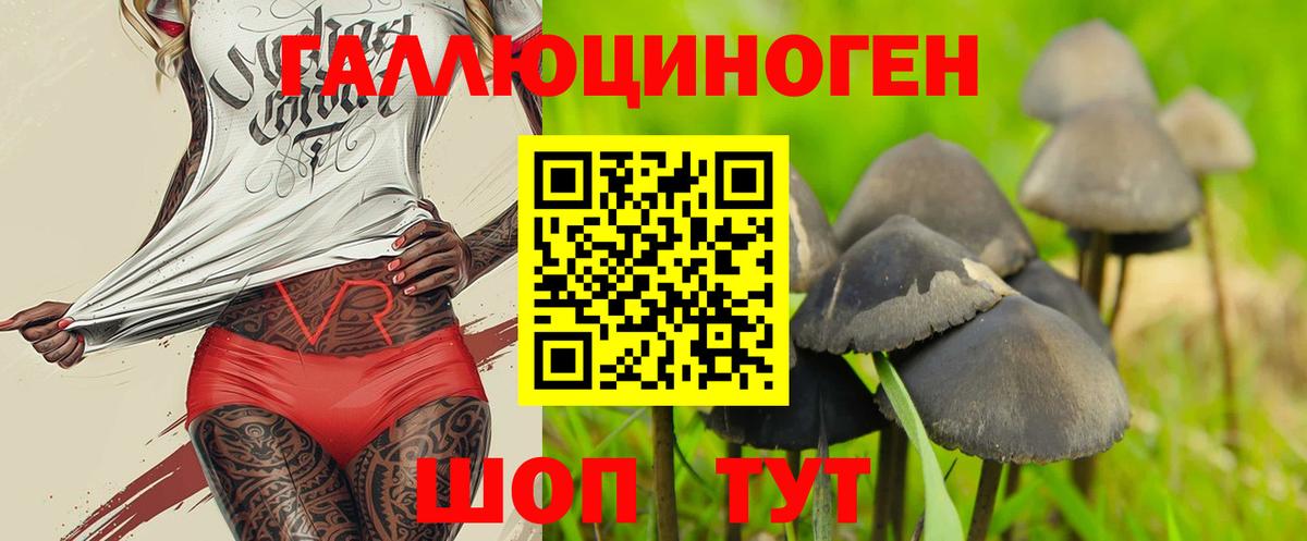 Дюртюли  Псилоцибиновые грибы GOLDEN TEACHER  Псилоцибиновые грибы Psilocybine cubensis  Вход с VPN 