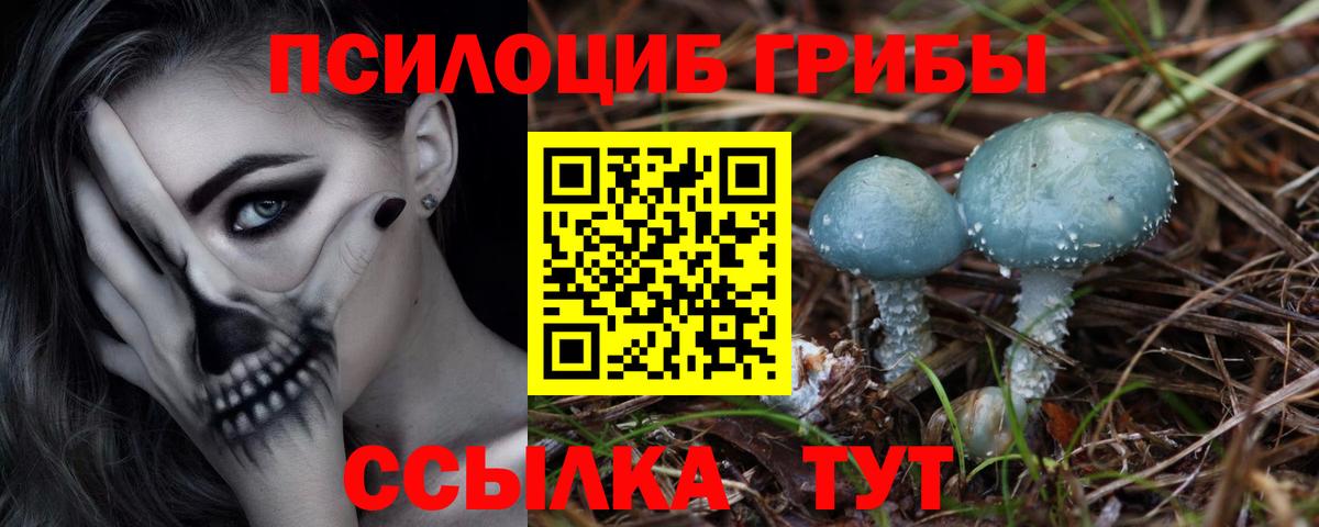 Галлюциногенные грибы мухоморы Дюртюли